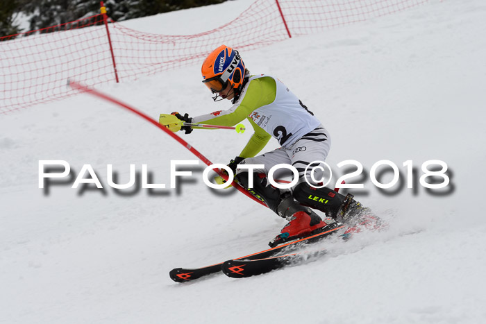 DSV Dt. Schülercup U14 SL 20.01.2018
