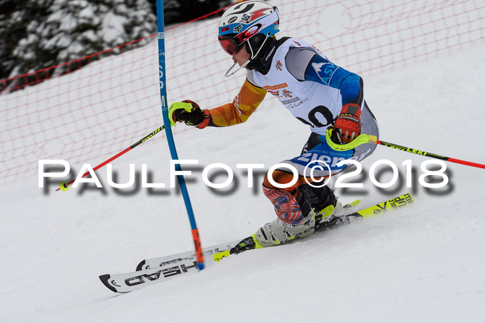 DSV Dt. Schülercup U14 SL 20.01.2018