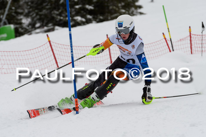 DSV Dt. Schülercup U14 SL 20.01.2018
