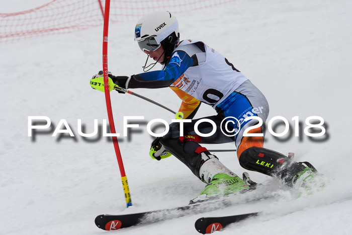DSV Dt. Schülercup U14 SL 20.01.2018
