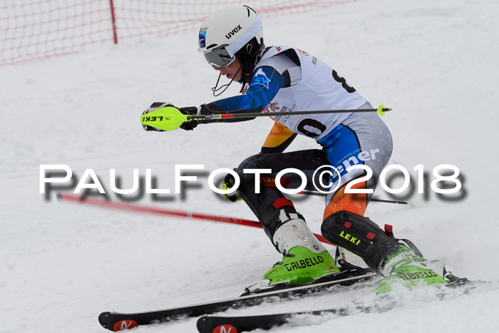 DSV Dt. Schülercup U14 SL 20.01.2018