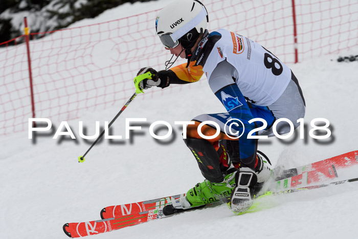 DSV Dt. Schülercup U14 SL 20.01.2018