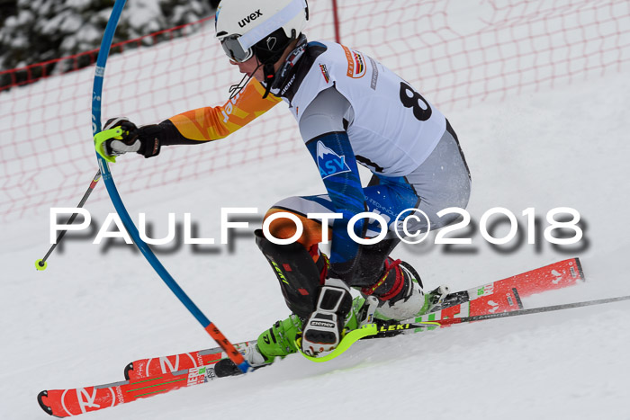 DSV Dt. Schülercup U14 SL 20.01.2018