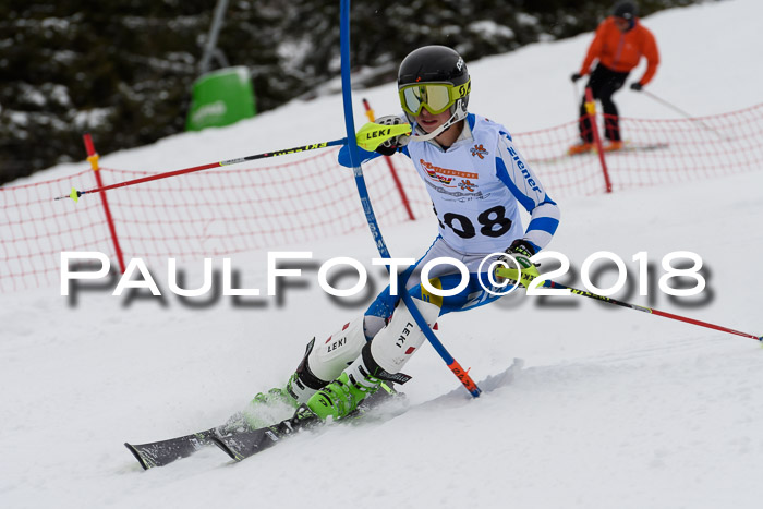 DSV Dt. Schülercup U14 SL 20.01.2018