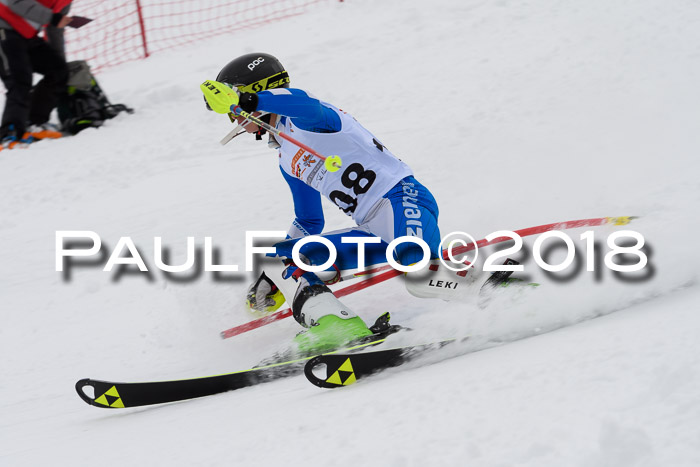 DSV Dt. Schülercup U14 SL 20.01.2018