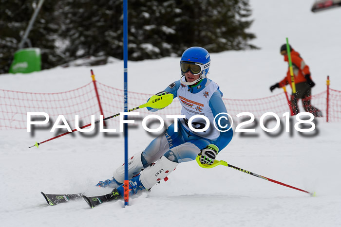 DSV Dt. Schülercup U14 SL 20.01.2018