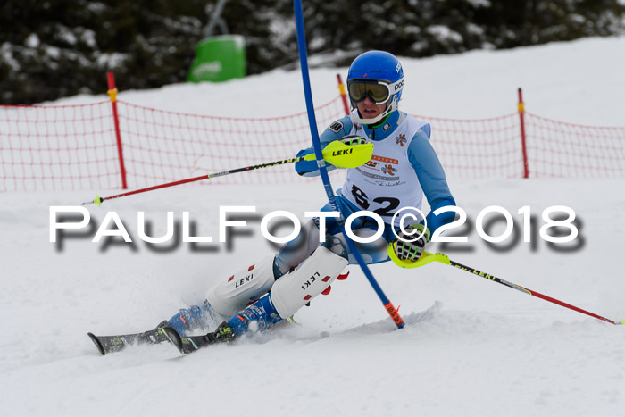 DSV Dt. Schülercup U14 SL 20.01.2018