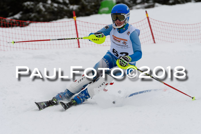 DSV Dt. Schülercup U14 SL 20.01.2018