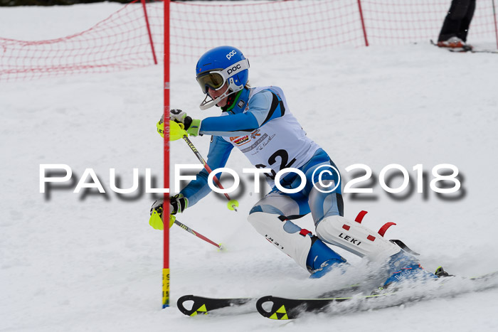 DSV Dt. Schülercup U14 SL 20.01.2018