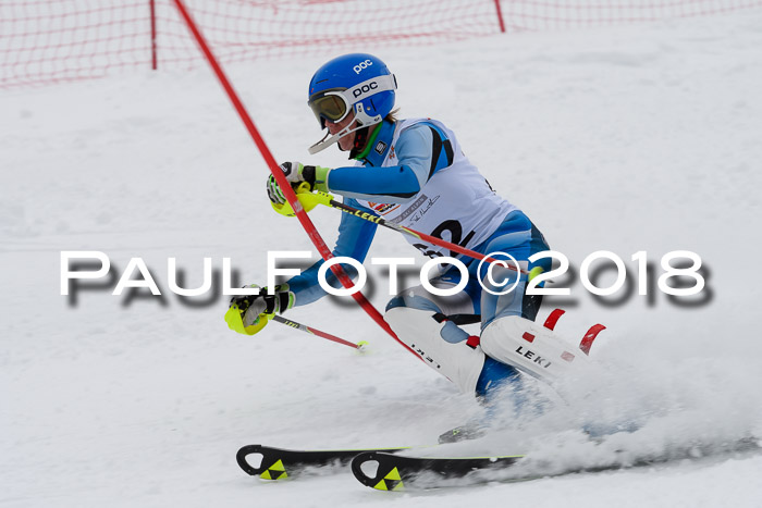DSV Dt. Schülercup U14 SL 20.01.2018
