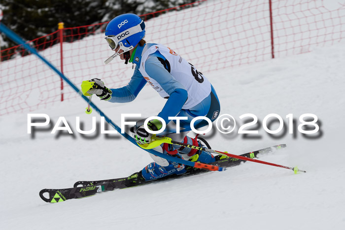 DSV Dt. Schülercup U14 SL 20.01.2018