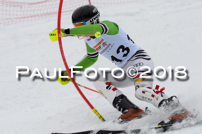 DSV Dt. Schülercup U14 SL 20.01.2018
