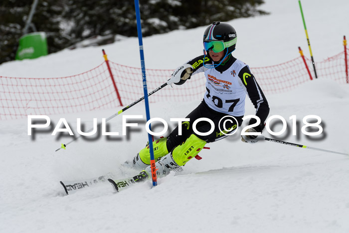 DSV Dt. Schülercup U14 SL 20.01.2018
