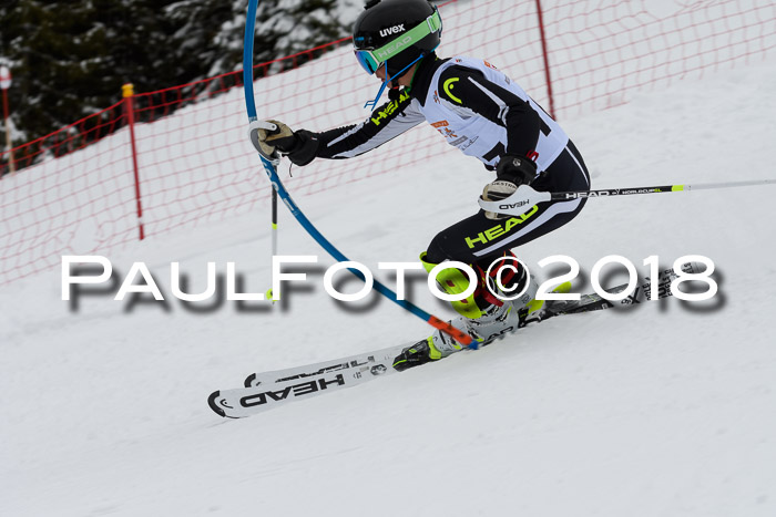 DSV Dt. Schülercup U14 SL 20.01.2018