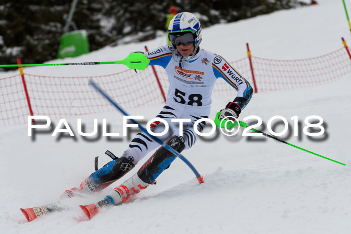 DSV Dt. Schülercup U14 SL 20.01.2018