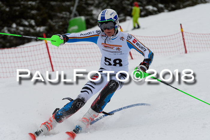 DSV Dt. Schülercup U14 SL 20.01.2018