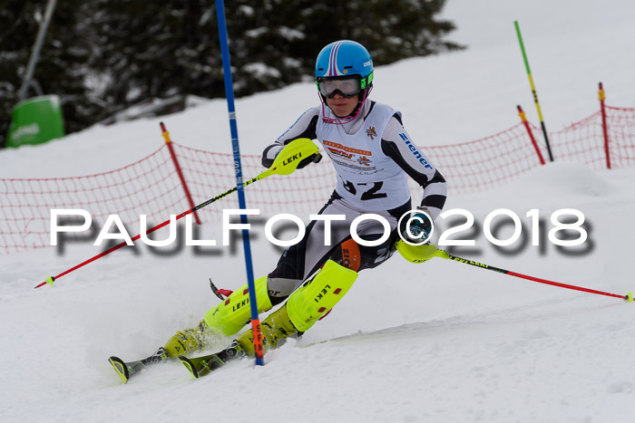 DSV Dt. Schülercup U14 SL 20.01.2018