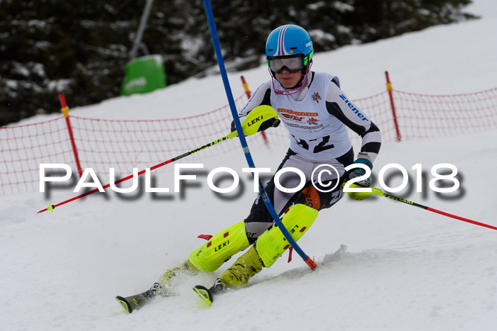 DSV Dt. Schülercup U14 SL 20.01.2018