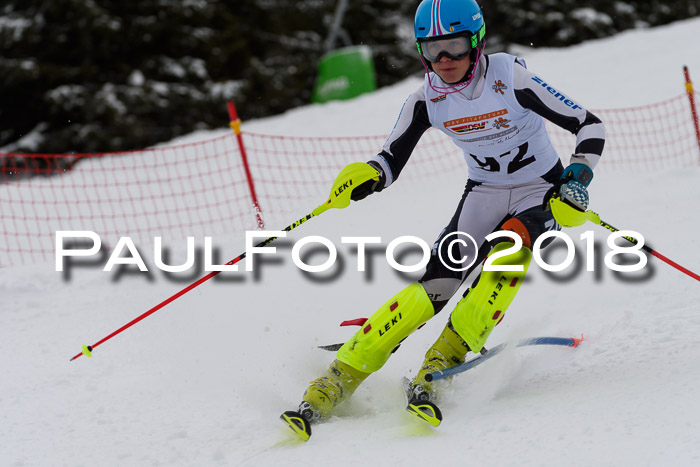 DSV Dt. Schülercup U14 SL 20.01.2018
