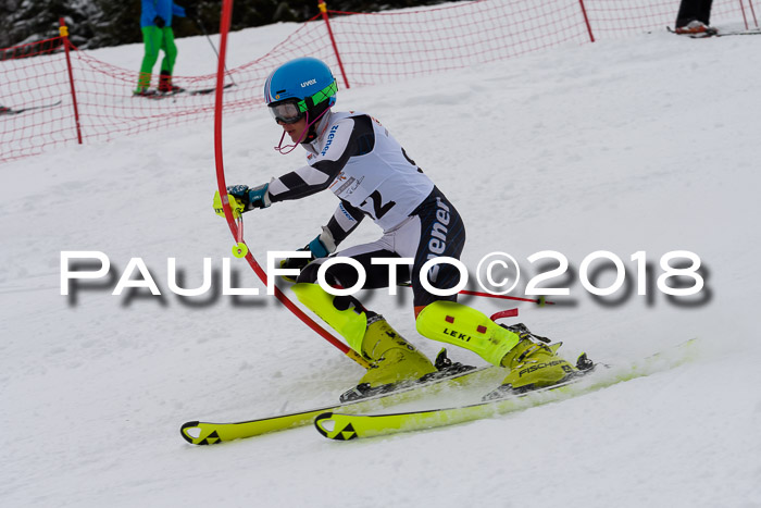 DSV Dt. Schülercup U14 SL 20.01.2018
