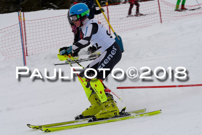 DSV Dt. Schülercup U14 SL 20.01.2018