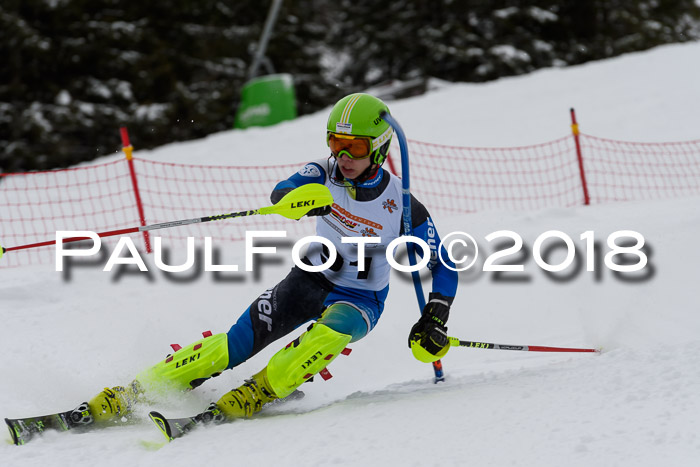 DSV Dt. Schülercup U14 SL 20.01.2018