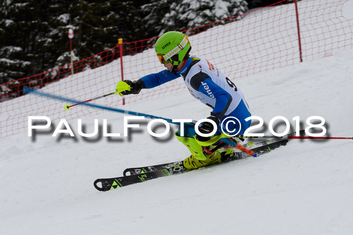 DSV Dt. Schülercup U14 SL 20.01.2018