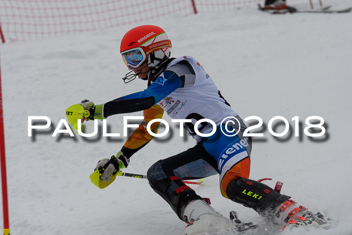 DSV Dt. Schülercup U14 SL 20.01.2018
