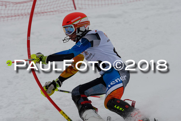 DSV Dt. Schülercup U14 SL 20.01.2018