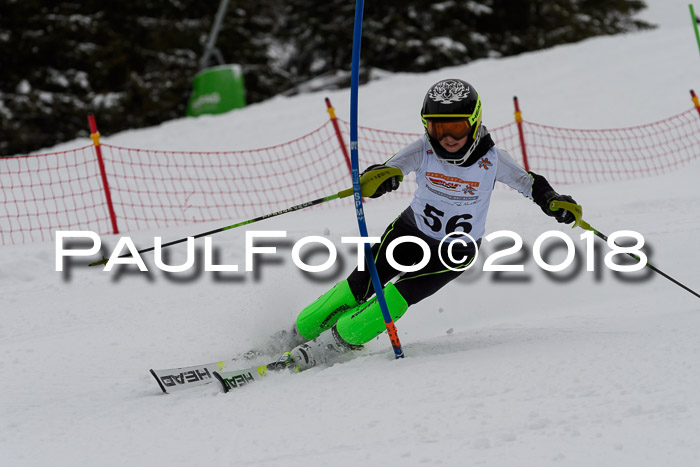 DSV Dt. Schülercup U14 SL 20.01.2018