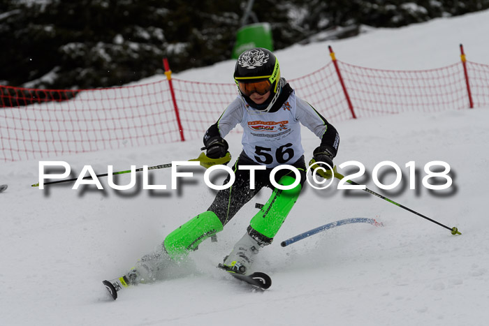 DSV Dt. Schülercup U14 SL 20.01.2018