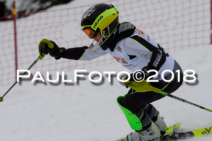 DSV Dt. Schülercup U14 SL 20.01.2018