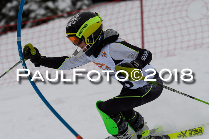 DSV Dt. Schülercup U14 SL 20.01.2018