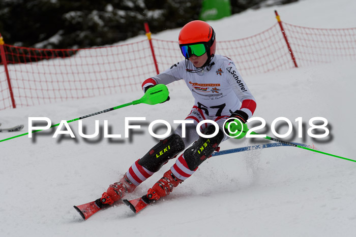 DSV Dt. Schülercup U14 SL 20.01.2018