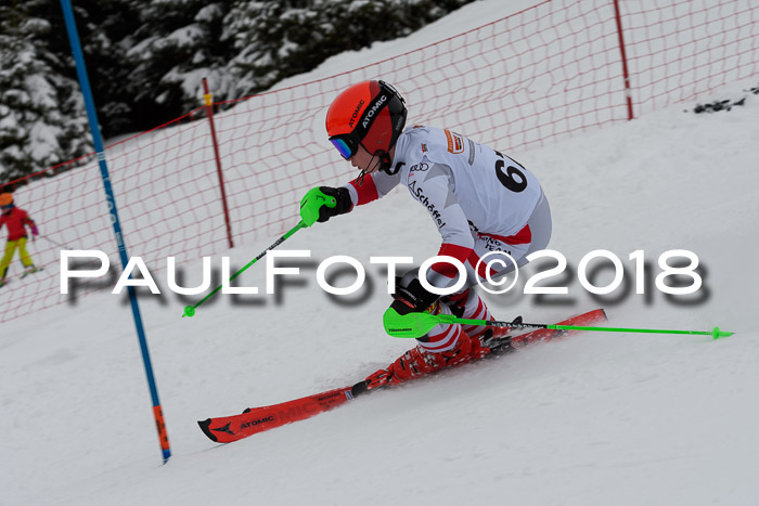 DSV Dt. Schülercup U14 SL 20.01.2018