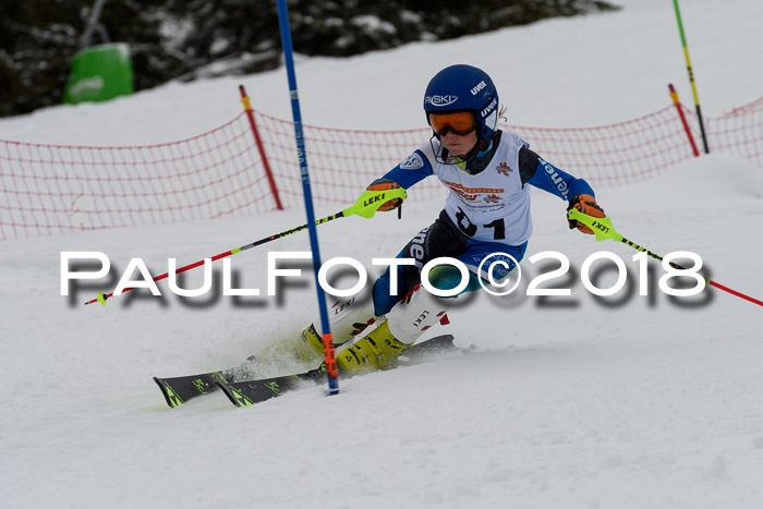 DSV Dt. Schülercup U14 SL 20.01.2018