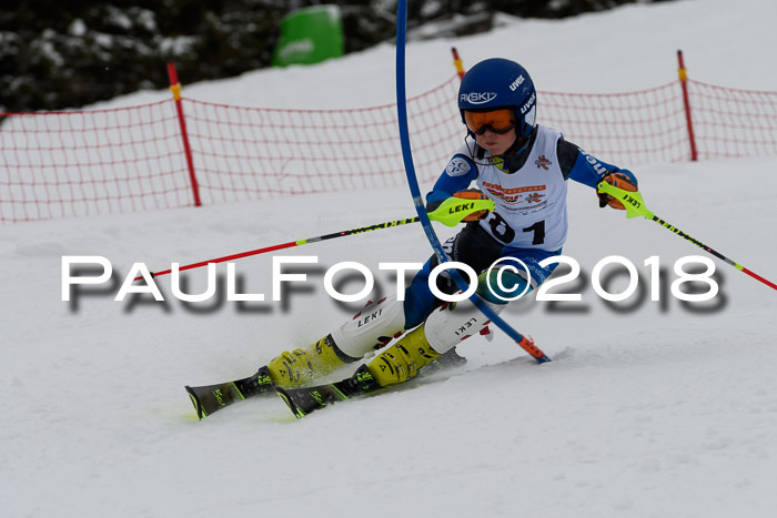 DSV Dt. Schülercup U14 SL 20.01.2018