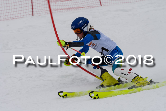 DSV Dt. Schülercup U14 SL 20.01.2018