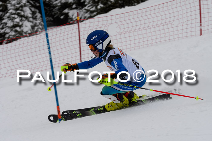 DSV Dt. Schülercup U14 SL 20.01.2018