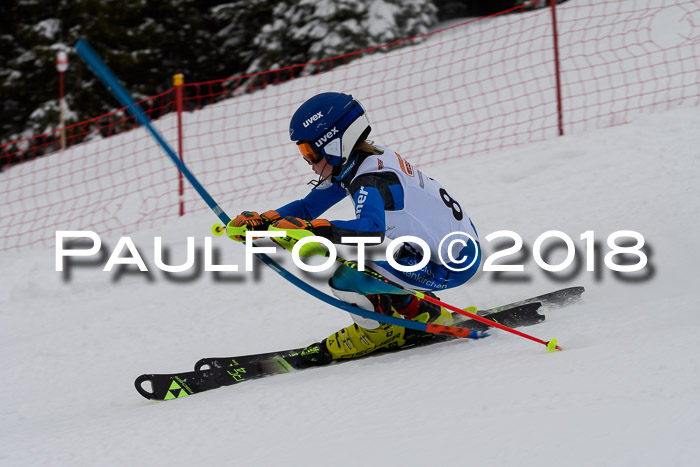 DSV Dt. Schülercup U14 SL 20.01.2018