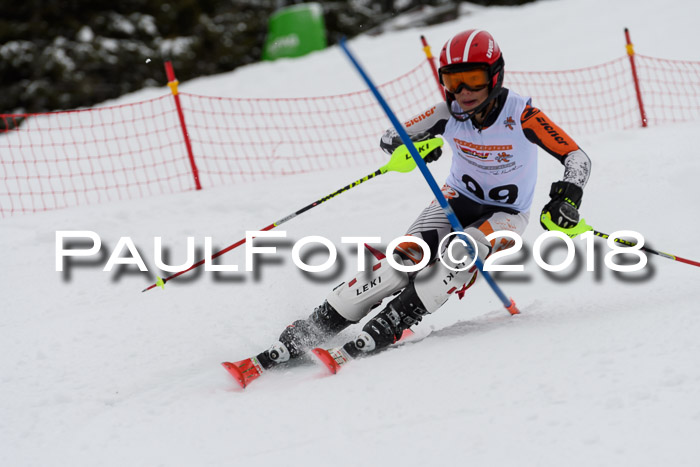 DSV Dt. Schülercup U14 SL 20.01.2018