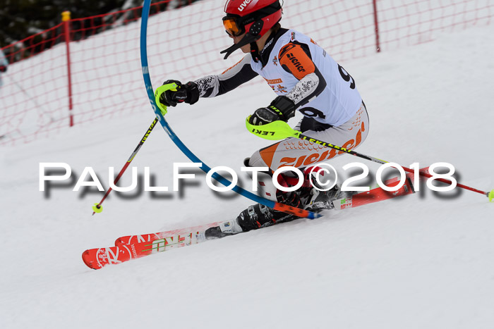 DSV Dt. Schülercup U14 SL 20.01.2018
