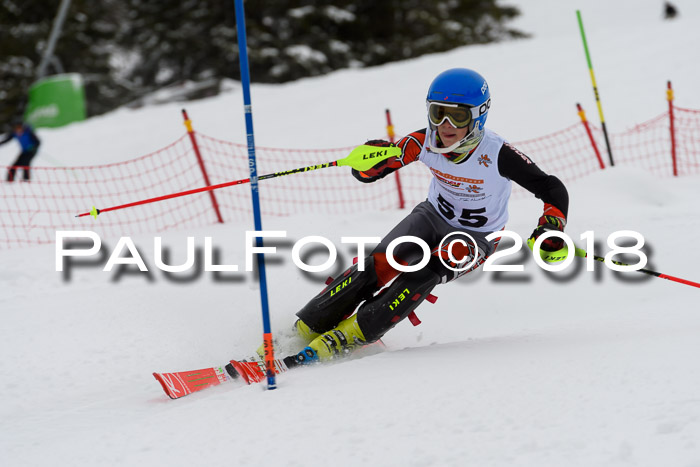 DSV Dt. Schülercup U14 SL 20.01.2018