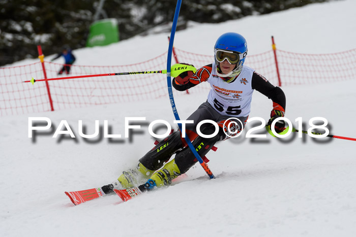 DSV Dt. Schülercup U14 SL 20.01.2018