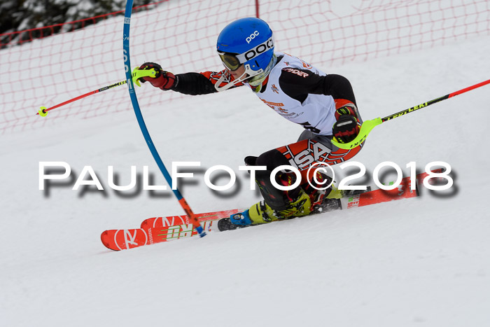 DSV Dt. Schülercup U14 SL 20.01.2018