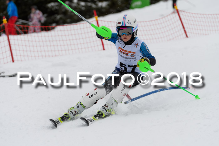 DSV Dt. Schülercup U14 SL 20.01.2018
