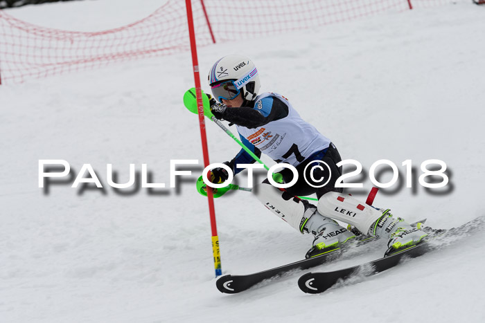 DSV Dt. Schülercup U14 SL 20.01.2018