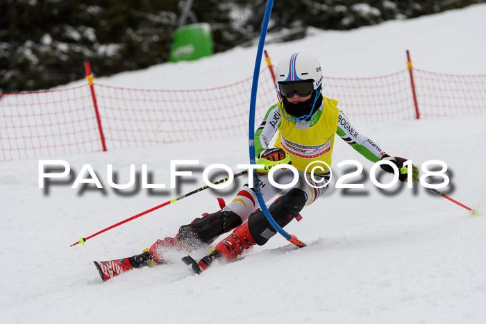 DSV Dt. Schülercup U14 SL 20.01.2018