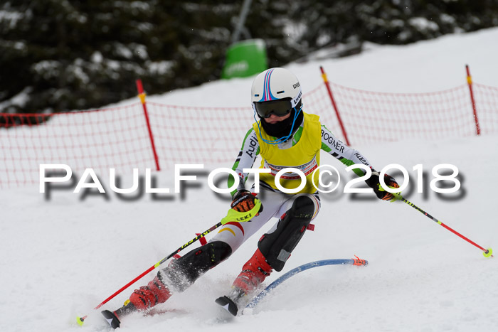 DSV Dt. Schülercup U14 SL 20.01.2018