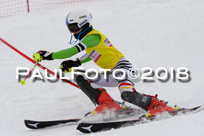 DSV Dt. Schülercup U14 SL 20.01.2018